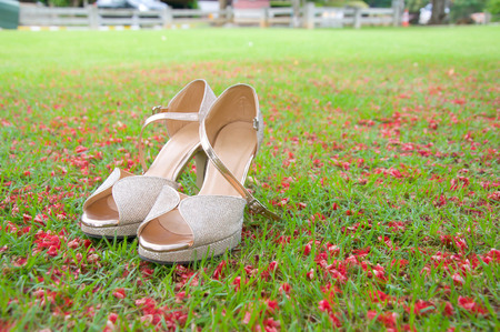 Beautiful shoe,red Tiny flowers in the lawnの写真素材