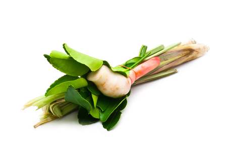 Ingredients for spicy Thai soup Tom Yam on white backgroundの写真素材