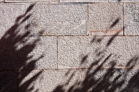 shadow of the leaves on a brick wallの写真素材