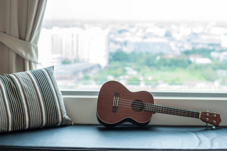 The ukulele with pillow on the black sofaの写真素材