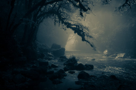 View of river Aniene and Trevi waterfall in the dark forest in Lazio Italy