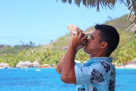 Bora Bora, French Polynesia - August 18, 2017: Man blowing conch shell in Bora Bora, French...