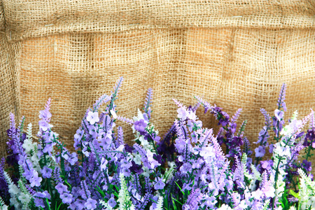 Bush of lavender flower on sackcloth backgroundの写真素材
