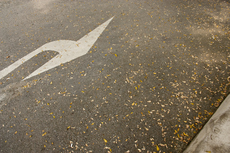 Arrow on the road with dried leaves, concept of business vision, focus on key topics that are ignored.の写真素材