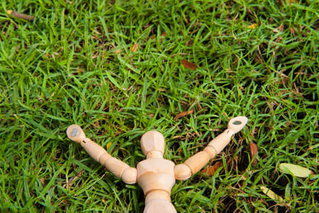 A wooden dummy on meadowの写真素材