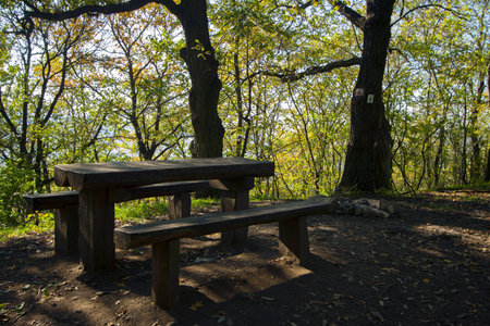 Picnic table in the forest