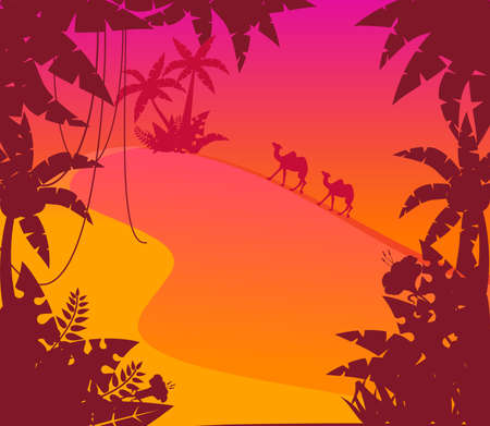 Beautiful Landscape with tropical plantsの写真素材