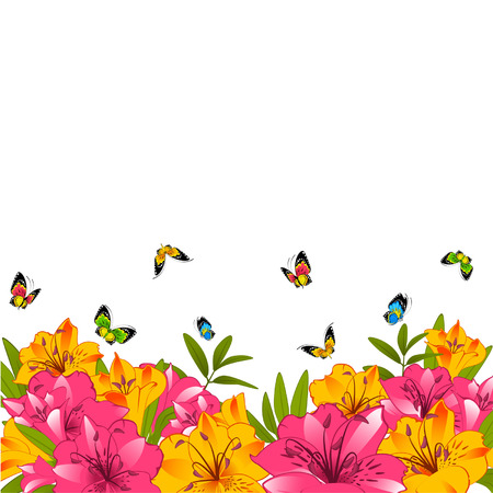 Beautiful Lily on the background.のイラスト素材