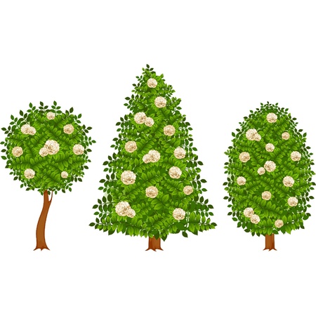 Vector trees with rosesのイラスト素材