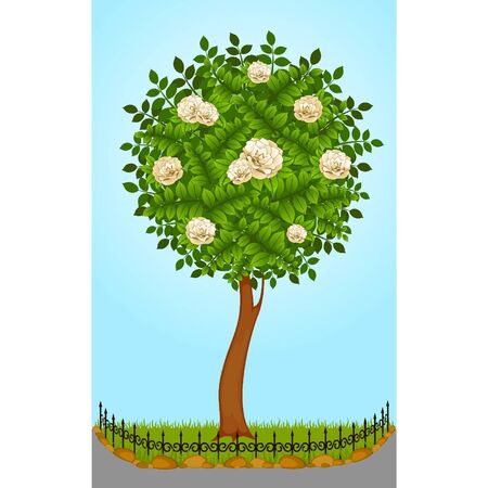 Beautiful trees with fenceのイラスト素材