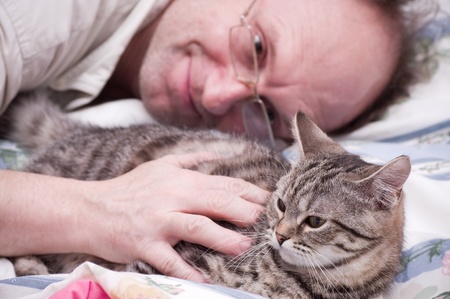 Old man pets a Scottish-straight gray beautiful catの写真素材