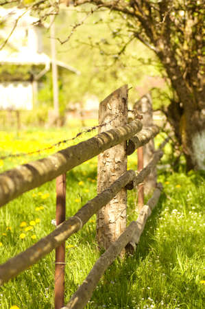 Spring field  Green landscapeの写真素材