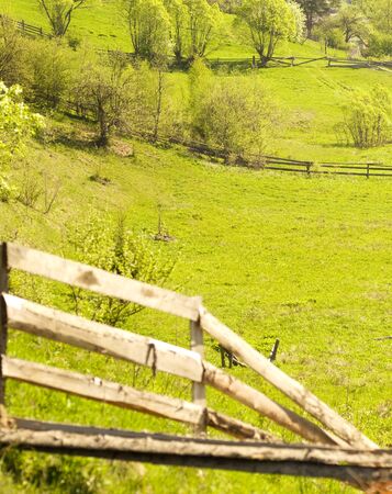 Spring field  Green landscapeの写真素材