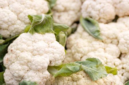 Fresh cauliflowerの写真素材
