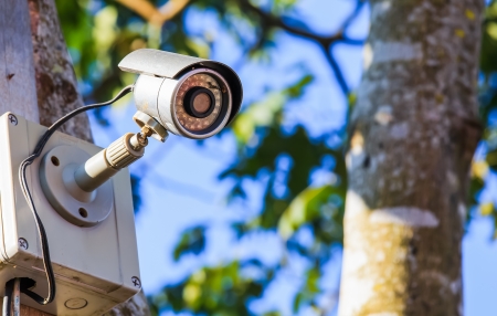 surveillance camera on the tree with blue skyの写真素材