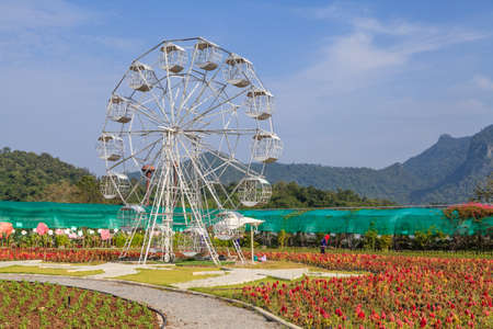 A white ferris wheel with blue sky, plants in the foregroundの写真素材