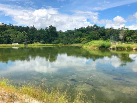 Theppanom hot springs at Chiang Mai, Thailand.