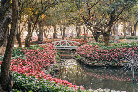 Chiang rai, Thailand - December 24 2020: Chiang Rai Asean Flower Festival 2020 with Flowers, Bridge and river.のeditorial素材