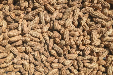 Top view of Peanuts (Arachis hypogaea). Food background.の写真素材