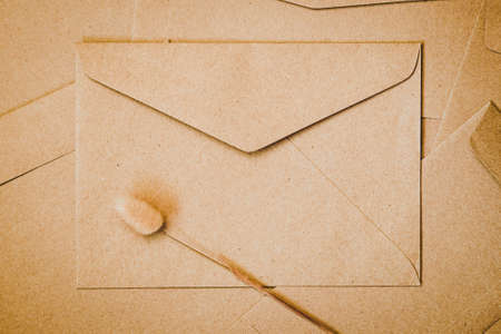 Brown paper envelope with Rabbit tail dry flower. Close-up of Craft envelope. Flat lay minimalism.の写真素材