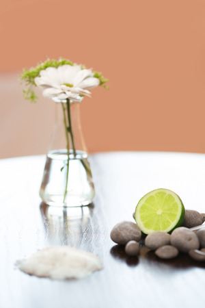 Spa composition. Salt Lime Flower and Stones. Body scrub.の写真素材