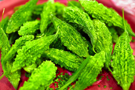Vegetables. Healthy Food. Close Up Of Organic Fresh Green Asian Bitter Gourd ( Bitter Melon,...