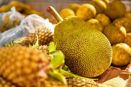 Fruits. Healthy Eating. Vegan Raw Food. Fresh Organic Ripe Jackfruit ( Jack Fruit ) At Street Farmer Market ( Grocery Store ) In Koh Samui, Thailand, Asia. Background. Nutrition. Vitaminsの写真素材