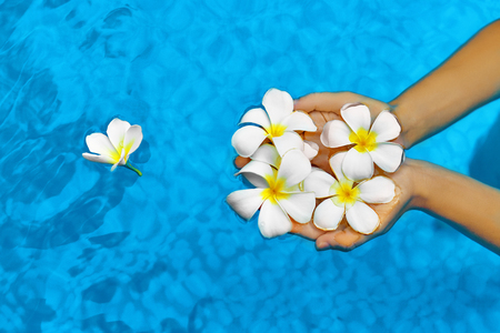 Woman Health Concept. Summer Relax. Female Hands Holding Tropical Spa Flowers, White Frangipani ( Plumeria Alba ) In Fresh Clear Swimming Pool Water. Wellness, Beauty, Freshness. Summertime Vacationの写真素材