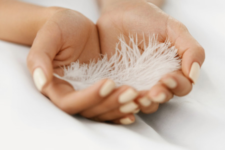 Softness Concept. Closeup Of Beautiful Woman's Hands With Healthy Soft Skin Holding Light White Feather. Health And Body Care Concepts.の写真素材
