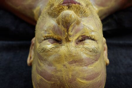 Spa Face Mask. Skin Care Beauty Treatment. Relaxed Man On Natural Cosmetic Mud Facial Procedure.の写真素材