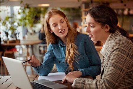 Students. Girls Studying With Laptop. Beautiful Young Women Having Lesson At Cafe. Smiling Blonde And Brunette Looking At Screen.の写真素材