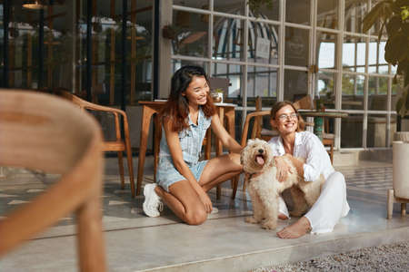 Summer. Women With Pet On Terrace In Dog-Friendly Cafe. Fashion Girls In Casual Outfit With Puppy Sitting On Patio And Looking Away. Vacation With Dog As Part Of Modern Lifestyle.の写真素材