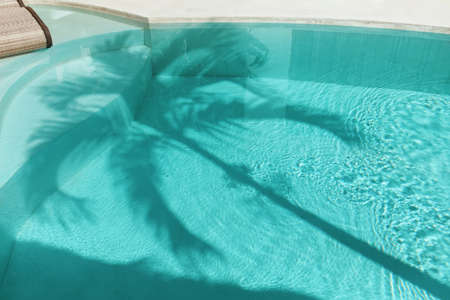 Palm Shadow On Water Surface. Swimming Pool With Silhouette Of Tropical Tree At Noon.の写真素材