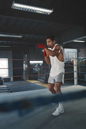 Portrait Of Man On Boxing Ring. Sexy Asian Sportsman With Strong, Healthy, Muscular Body At Fitness Center. Boxer With Elastic Tapes On Wrists Having Break After Training At Gym.の写真素材