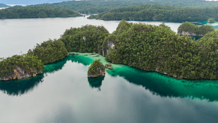Aerial View Of Triton Bay In Raja Ampat Islands: Lagoon With Turquoise Water And Green Tropical Trees. Wide Angle Nature: Pacific Ocean And Beautiful Landscape In Papua, Indonesia.の写真素材