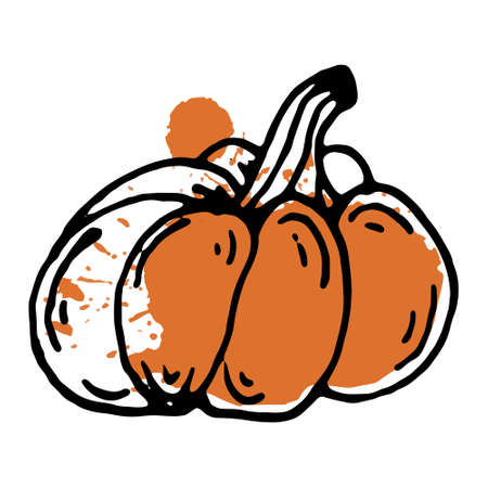 Pumpkin vector icon. Hand-drawn doodle. Black thin contour of a vegetable with a colored orange spot. Abstract drop on line art. Food sketch. Halloween symbol. Flat style. Isolated on white.のイラスト素材