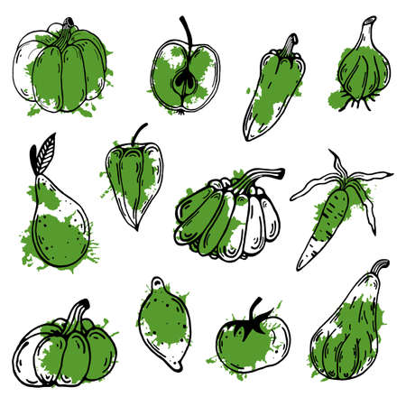 Collection of vector icons vegetables and fruits. Isolated illustration on a white background. Hand-drawn doodle. Thin food contour with green abstract spot. Colored blob on a black outline. Flat style.のイラスト素材