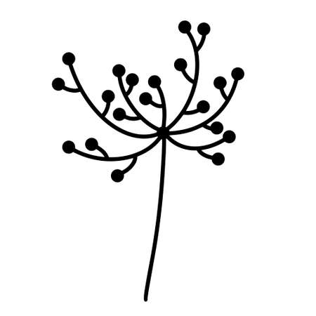 Plant sprig vector icon. Hand drawn doodle on white. A branch with an inflorescence and round seeds. Botanical sketch. Natural clip-art for decoration and design of cards, invitations, floristic web, textiles.のイラスト素材