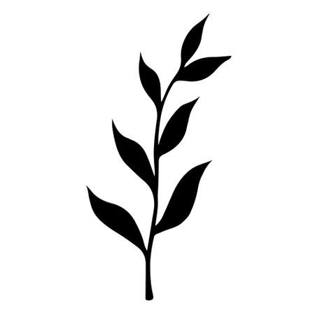 Branch with leaves vector icon. Hand-drawn illustration. Silhouette of twigs with foliage. Botanical sketch. Monochrome concept for decoration and design of cards, invitations, textiles, stationery.のイラスト素材
