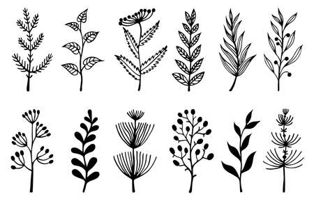 Flowers and herbs vector set. Hand-drawn doodles. Wild plants, twigs with leaves, grass with seeds. Monochrome concept for decoration and design of printing, cards, stationery, textiles, packaging.のイラスト素材