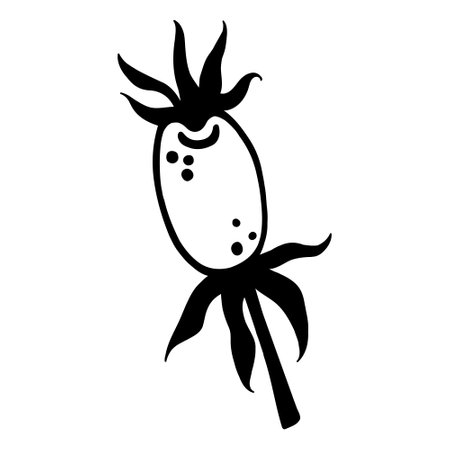 Rosehip berry vector icon. Hand drawn doodle. Silhouette of a healthy fruit on a stem. Botanical sketch. Black and white concept for decoration, card design, cosmetics, packaging, textiles.のイラスト素材