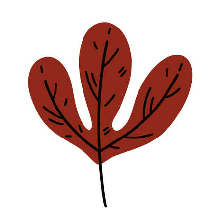 Red autumn leaf vector icon. Hand drawn veined leaf on a stem. Flat cartoon clipart isolated on white background. Fall botanical illustration, withering leaf of a garden tree. nature conceptのイラスト素材