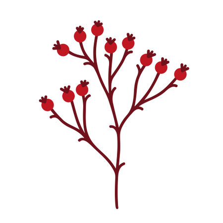 Rosehip branch vector icon. A bare twig of a wild or garden plant with ripe red berries. Hand drawn illustration of Christmas bush isolated on white. forest tree sprig. Clipart for cards, cosmeticsのイラスト素材