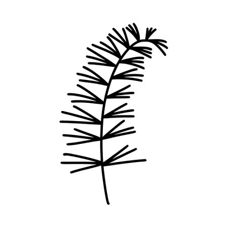 Plant branch silhouette vector icon. Hand drawn sprig of horsetail, rosemary. Sketch of wild medicinal herb. Meadow or garden flower isolated on white background. Clipart for cards, posters, packagingのイラスト素材