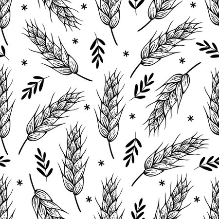 Wheat ears seamless vector pattern. Sketch of barley, rice, oat. Field plant harvest, farm organic grain. Hand drawn illustration, agricultural herb. Black and white background for packaging, printのイラスト素材