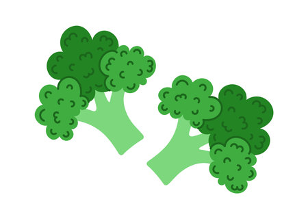 Broccoli vector icon. Delicious green cabbage for healthy eating, diet. Fresh ripe vegetable, farm harvest. Vegetarian food, organic products. Hand drawn clipart isolated on whiteのイラスト素材