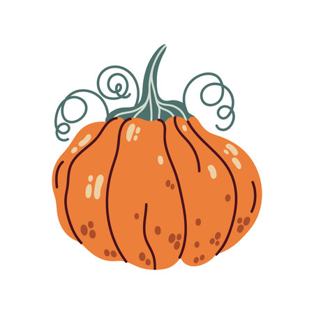 Orange pumpkin vector illustration. Ripe fresh gourd with curly stem. Colorful garden vegetable for Halloween, Thanksgiving, holiday, autumn party decoration. Seasonal harvest, isolated cartoon doodleのイラスト素材