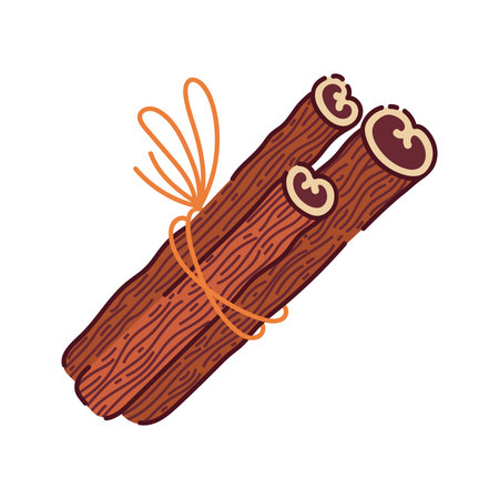 Cinnamon sticks bundled together, vector icon. Aromatic spice for culinary, food packaging, recipe, autumn and holiday designs. Hand drawn clipart isolated on white. Aromatic plant tied with a stringのイラスト素材