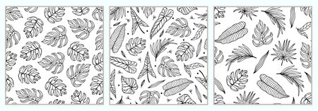 Tropical plants  vector patterns set. Exotic leaves, monstera, coconut palm, banana tree. Hand drawn black and white ornaments. Floral silhouettes, botanical sketch. Background for printのイラスト素材