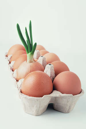 Eggs and green onions on a light background. Side view of green onions between brown raw eggs in an egg box. The concept of dietary and healthy natural protein products. Selective soft focus.の写真素材